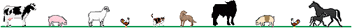barraani.gif (4834 byte)