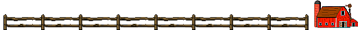 barracereali.gif (5273 byte)