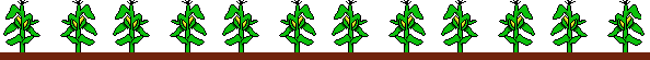 barramais.gif (4357 byte)